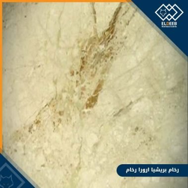 رخام بريشيا ارورا المُتميز في الارضيات والحوائط, انواع الرخام, انواع الرخام والجرانيت, عينات جرانيت, عينات رخام, عينات رخام وجرانيت, انواع الرخام بالصور والاسماء, اسعار الرخام بالصور, انواع الرخام الطبيعي, افضل انواع الرخام, انواع الرخام الاسود, اسماء انواع الرخام بالصور, أنواع الرخام, انواع الرخام والجرانيت بالصور والاسعار, اسماء انواع الرخام, انواع الرخام المستورد, اشكال وانواع الرخام, أنواع الرخام الطبيعي مع الصور, اجود انواع الرخام, جميع انواع الرخام, صور انواع الرخام, افضل انواع رخام الواجهات, اجمل انواع الرخام, أنواع الرخام بالصور, انواع الرخام الاسود للمطابخ, اشكال الرخام وانواعه