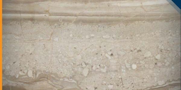 رخام بريشيا داينو للواجهات والارضيات والأحواض, انواع الرخام, انواع الرخام والجرانيت, عينات جرانيت, عينات رخام, عينات رخام وجرانيت, انواع الرخام بالصور والاسماء, اسعار الرخام بالصور, انواع الرخام الطبيعي, افضل انواع الرخام, انواع الرخام الاسود, اسماء انواع الرخام بالصور, أنواع الرخام, انواع الرخام والجرانيت بالصور والاسعار, اسماء انواع الرخام, انواع الرخام المستورد, اشكال وانواع الرخام, أنواع الرخام الطبيعي مع الصور, اجود انواع الرخام, جميع انواع الرخام, صور انواع الرخام, افضل انواع رخام الواجهات, اجمل انواع الرخام, أنواع الرخام بالصور, انواع الرخام الاسود للمطابخ, اشكال الرخام وانواعه