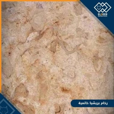 رخام بريشيا خاتمية غامق لديكورات الحوائط والواجهات والارضيات, انواع الرخام, انواع الرخام والجرانيت, عينات جرانيت, عينات رخام, عينات رخام وجرانيت, انواع الرخام بالصور والاسماء, اسعار الرخام بالصور, انواع الرخام الطبيعي, افضل انواع الرخام, انواع الرخام الاسود, اسماء انواع الرخام بالصور, أنواع الرخام, انواع الرخام والجرانيت بالصور والاسعار, اسماء انواع الرخام, انواع الرخام المستورد, اشكال وانواع الرخام, أنواع الرخام الطبيعي مع الصور, اجود انواع الرخام, جميع انواع الرخام, صور انواع الرخام, افضل انواع رخام الواجهات, اجمل انواع الرخام, أنواع الرخام بالصور, انواع الرخام الاسود للمطابخ, اشكال الرخام وانواعه