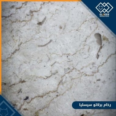 رخام برلاتو سيسيليا للأرضيات والحوائط رخام مميز جدا في الديكورات, انواع الرخام والجرانيت, عينات جرانيت, عينات رخام, عينات رخام وجرانيت, انواع الرخام بالصور والاسماء, اسعار الرخام بالصور, انواع الرخام الطبيعي, افضل انواع الرخام, انواع الرخام الاسود, اسماء انواع الرخام بالصور, أنواع الرخام, انواع الرخام والجرانيت بالصور والاسعار, اسماء انواع الرخام, انواع الرخام المستورد, اشكال وانواع الرخام, أنواع الرخام الطبيعي مع الصور, اجود انواع الرخام, جميع انواع الرخام, صور انواع الرخام, افضل انواع رخام الواجهات, اجمل انواع الرخام, أنواع الرخام بالصور, انواع الرخام الاسود للمطابخ, اشكال الرخام وانواعه