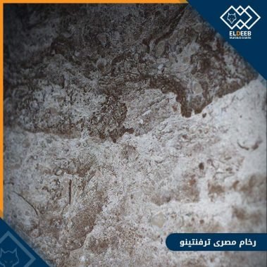 رخام ترفنتينو مصري من أنواع الرخام الجميلة في الديكورات المنزلية, عينات رخام, عينات رخام وجرانيت, انواع الرخام بالصور والاسماء, اسعار الرخام بالصور, انواع الرخام الطبيعي, افضل انواع الرخام, انواع الرخام الاسود, اسماء انواع الرخام بالصور, أنواع الرخام, انواع الرخام والجرانيت بالصور والاسعار, اسماء انواع الرخام, انواع الرخام المستورد, اشكال وانواع الرخام, أنواع الرخام الطبيعي مع الصور, اجود انواع الرخام, جميع انواع الرخام, صور انواع الرخام, افضل انواع رخام الواجهات, اجمل انواع الرخام, أنواع الرخام بالصور, انواع الرخام الاسود للمطابخ, اشكال الرخام وانواعه