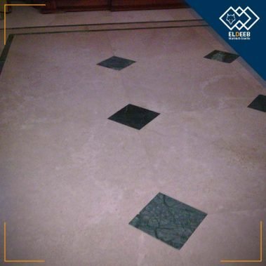 ارضيات جرانيت, ارضيات رخام, جرانيت ارضيات, رخام ارضيات, صور رخام ارضيات, ارضيات رخام للشقق, افضل انواع الرخام للارضيات بالصور, ارضيات رخام مودرن, صور ارضيات رخام, ارضيات رخام ابيض, اشكال ارضيات رخام, اشكال ارضيات رخام مودرن, اشكال رخام ارضيات, افضل انواع الجرانيت للارضيات, أرضيات رخام