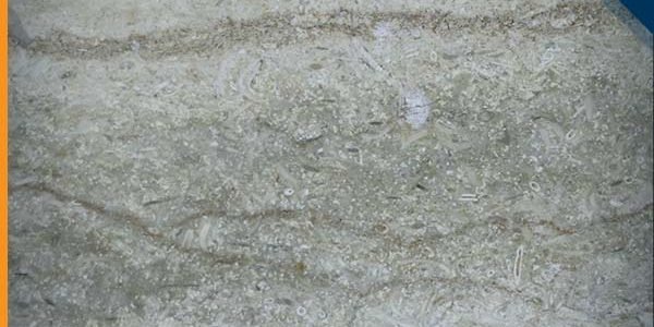 رخام سيلفيا اخضر رخام سيلفيا اخضر من انواع الرخام الأخضر الرائع, عينات رخام, عينات رخام وجرانيت, انواع الرخام بالصور والاسماء, اسعار الرخام بالصور, انواع الرخام الطبيعي, افضل انواع الرخام, انواع الرخام الاسود, اسماء انواع الرخام بالصور, أنواع الرخام, انواع الرخام والجرانيت بالصور والاسعار, اسماء انواع الرخام, انواع الرخام المستورد, اشكال وانواع الرخام, أنواع الرخام الطبيعي مع الصور, اجود انواع الرخام, جميع انواع الرخام, صور انواع الرخام, افضل انواع رخام الواجهات, اجمل انواع الرخام, أنواع الرخام بالصور, انواع الرخام الاسود للمطابخ, اشكال الرخام وانواعه