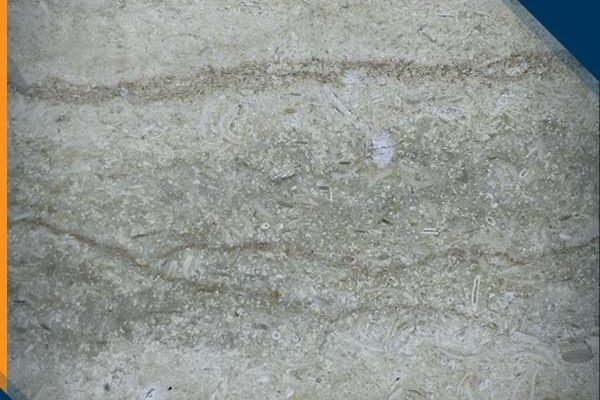 رخام سيلفيا اخضر رخام سيلفيا اخضر من انواع الرخام الأخضر الرائع, عينات رخام, عينات رخام وجرانيت, انواع الرخام بالصور والاسماء, اسعار الرخام بالصور, انواع الرخام الطبيعي, افضل انواع الرخام, انواع الرخام الاسود, اسماء انواع الرخام بالصور, أنواع الرخام, انواع الرخام والجرانيت بالصور والاسعار, اسماء انواع الرخام, انواع الرخام المستورد, اشكال وانواع الرخام, أنواع الرخام الطبيعي مع الصور, اجود انواع الرخام, جميع انواع الرخام, صور انواع الرخام, افضل انواع رخام الواجهات, اجمل انواع الرخام, أنواع الرخام بالصور, انواع الرخام الاسود للمطابخ, اشكال الرخام وانواعه