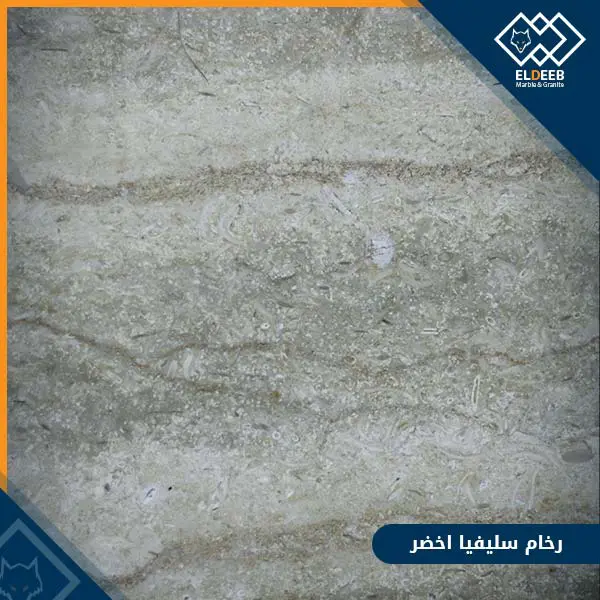 رخام سيلفيا اخضر رخام سيلفيا اخضر من انواع الرخام الأخضر الرائع, عينات رخام, عينات رخام وجرانيت, انواع الرخام بالصور والاسماء, اسعار الرخام بالصور, انواع الرخام الطبيعي, افضل انواع الرخام, انواع الرخام الاسود, اسماء انواع الرخام بالصور, أنواع الرخام, انواع الرخام والجرانيت بالصور والاسعار, اسماء انواع الرخام, انواع الرخام المستورد, اشكال وانواع الرخام, أنواع الرخام الطبيعي مع الصور, اجود انواع الرخام, جميع انواع الرخام, صور انواع الرخام, افضل انواع رخام الواجهات, اجمل انواع الرخام, أنواع الرخام بالصور, انواع الرخام الاسود للمطابخ, اشكال الرخام وانواعه